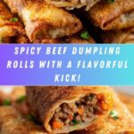 Spicy Beef Dumpling Rolls Recipe